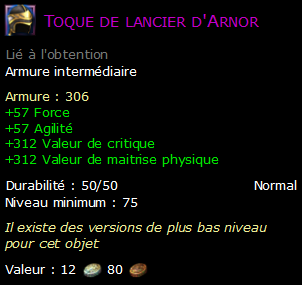 Toque de lancier d'Arnor