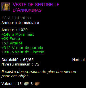 Veste de sentinelle d'Annuminas