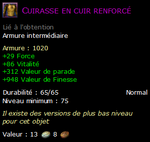 Cuirasse en cuir renforcé