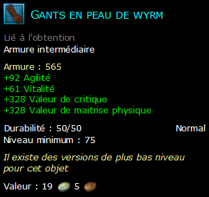 Gants en peau de wyrm