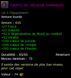 Gants de vigueur durables