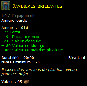 Jambières brillantes