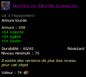 Bottes du Destin durables