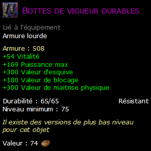 Bottes de vigueur durables