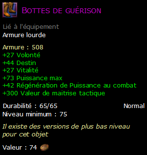 Bottes de guérison