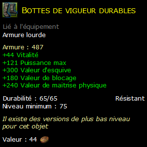 Bottes de vigueur durables