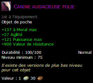 Canine audacieuse polie