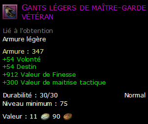 Gants légers de maître-garde vétéran