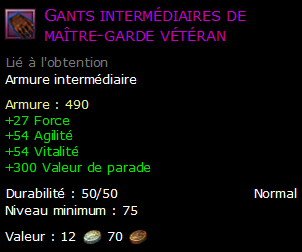 Gants intermédiaires de maître-garde vétéran