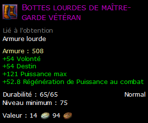 Bottes lourdes de maître-garde vétéran