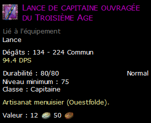 Lance de capitaine ouvragée du Troisième Age