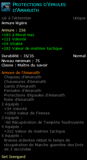 Protections d'épaules d'Amaruith