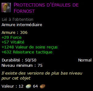 Protections d'épaules de Fornost