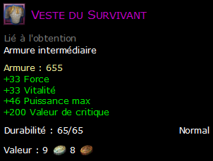 Veste du Survivant