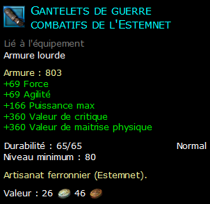 Gantelets de guerre combatifs de l'Estemnet