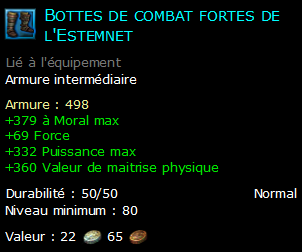 Bottes de combat fortes de l'Estemnet