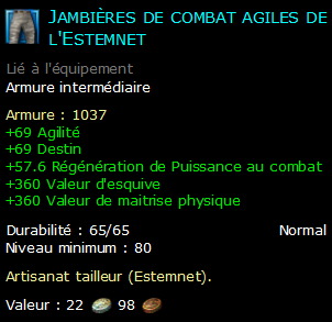 Jambières de combat agiles de l'Estemnet