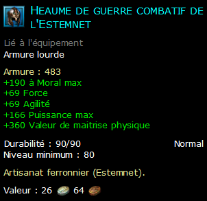 Heaume de guerre combatif de l'Estemnet