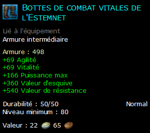 Bottes de combat vitales de l'Estemnet