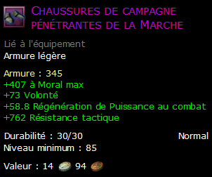 Chaussures de campagne pénétrantes de la Marche