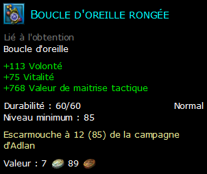 Boucle d'oreille rongée