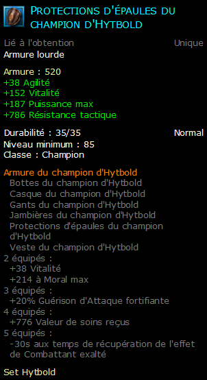 Protections d'épaules du champion d'Hytbold