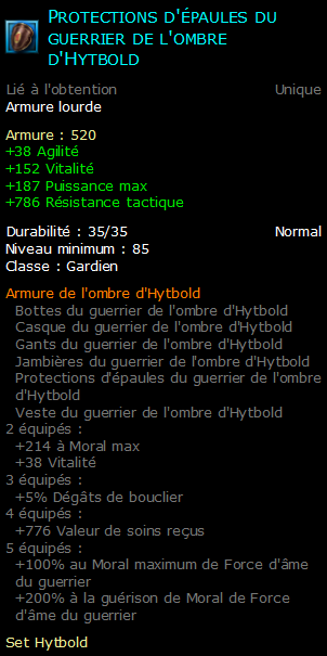 Protections d'épaules du guerrier de l'ombre d'Hytbold
