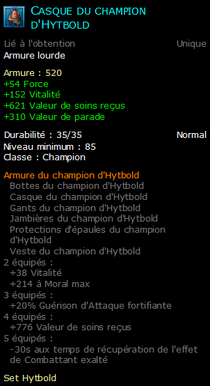 Casque du champion d'Hytbold