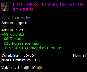 Epaulières légères de recrue rohirrim