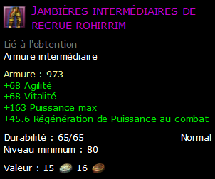 Jambières intermédiaires de recrue rohirrim