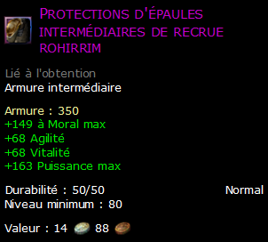 Protections d'épaules intermédiaires de recrue rohirrim