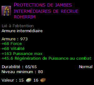 Protections de jambes intermédiaires de recrue rohirrim