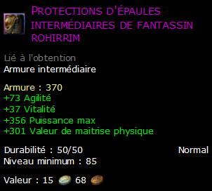 Protections d'épaules intermédiaires de fantassin rohirrim