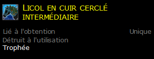 Licol en cuir cerclé intermédiaire