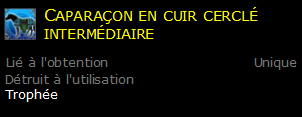 Caparaçon en cuir cerclé intermédiaire