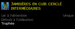 Jambières en cuir cerclé intermédiaires