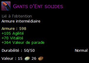 Gants d'Ent solides