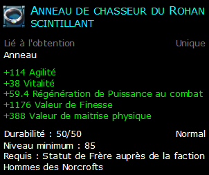 Anneau de chasseur du Rohan scintillant