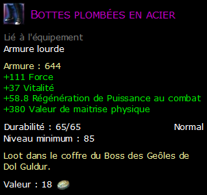 Bottes plombées en acier