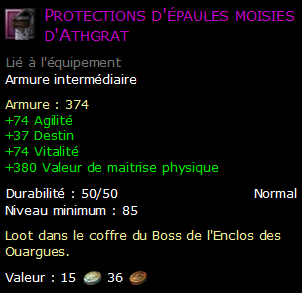 Protections d'épaules moisies d'Athgrat