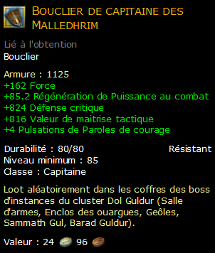 Bouclier de capitaine des Malledhrim