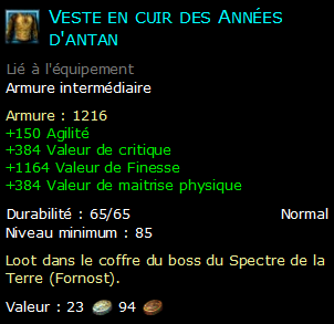 Veste en cuir des Années d'antan