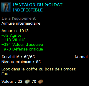 Pantalon du Soldat indéfectible