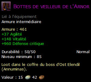 Bottes de veilleur de l'Arnor